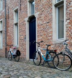 Bikes in Leuven